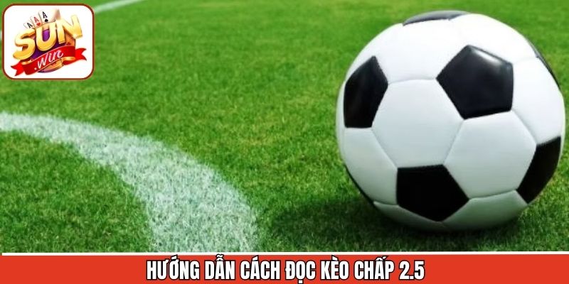 Nắm vững kèo chấp 2.5 một cách nhanh chóng