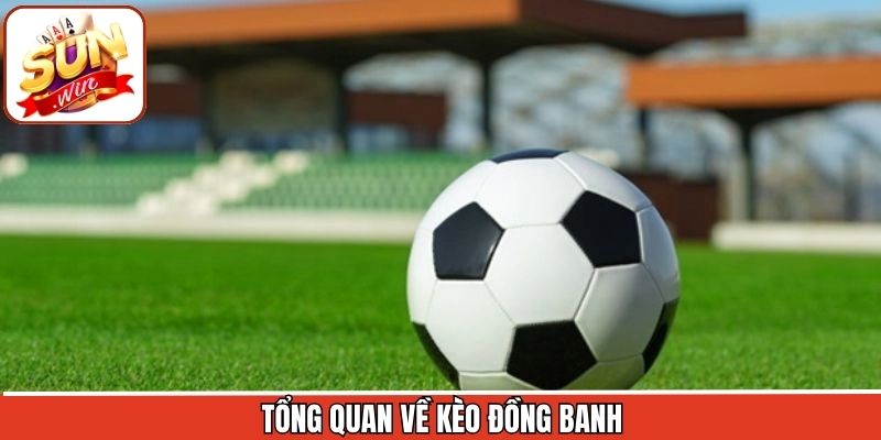 Giới thiệu sơ lược về loại hình đồng banh